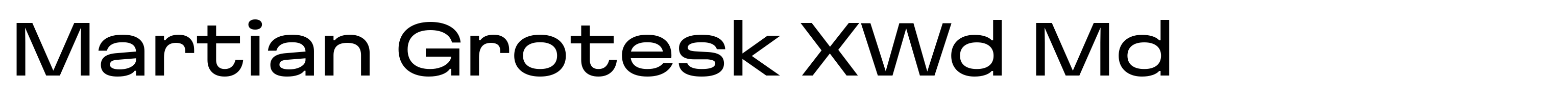 Martian Grotesk XWd Md